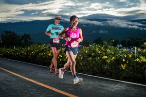 BIB: 
                            <button type="button" onclick="openModal(26538584)" class="btn btn-primary btn-sm float-right btn-popup" data-toggle="modal" data-target=".modal-high-quality">
                        <i class="fas fa-shopping-cart"></i> Add to Cart
                    </button>
                                            <button type="button" onclick="isThisMe(26538584, true)" class="btn btn-success btn-sm float-right btn-popup btn-isme hidden" data-toggle="tooltip" data-placement="bottom" title="นี่คือรูปของคุณใช่ไหม คลิกที่นี่เพื่อเอาเข้าอัลบั้ม">
                        <i class="fas fa-plus"></i> Add to album
                    </button>
                    <button type="button" onclick="isThisMe(26538584, false)" class="btn btn-warning btn-sm float-right btn-popup btn-isnotme hidden">
                        <i class="fas fa-ban"></i> Remove from album
                    </button>